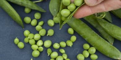 Doperwtentapenade