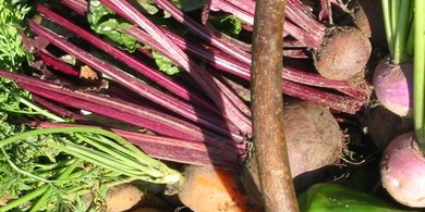 Salade van koolrabi en biet