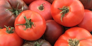 Zomerse gazpacho
