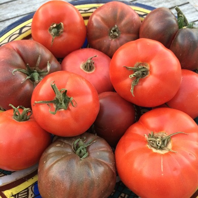tomaten
